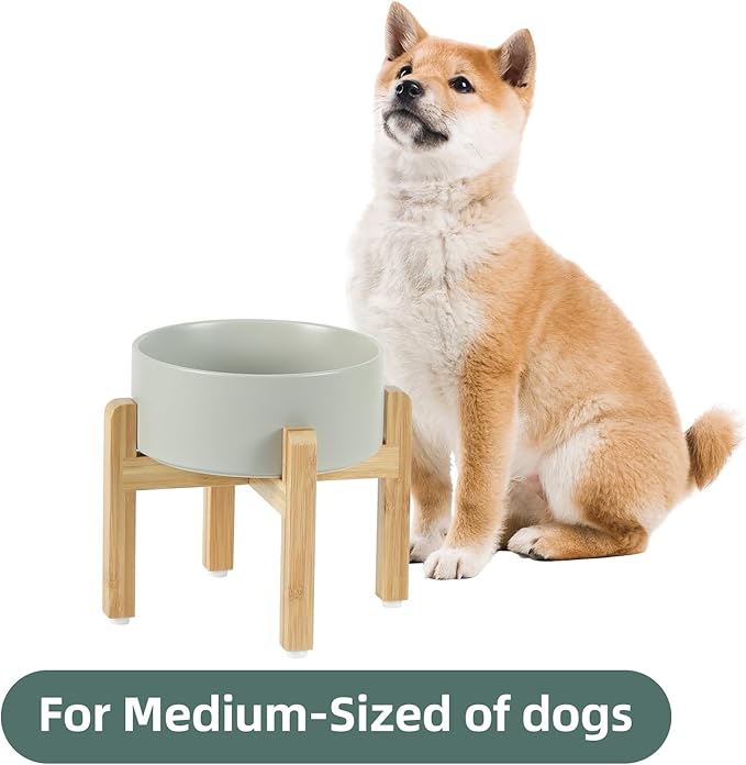 Havniva Ceramic Raised Dog Bowl Set, Elevated with Stand, Food and Water Bowl for Medium Breed Dogs, Weighted Dog Dishes, Pet Bowl(7.3'',41OZ, Grey)