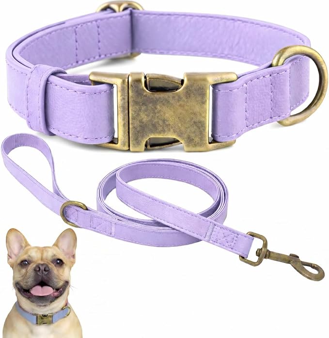 Silicone Dog Collar and Leash Set, Waterproof & Odor-Proof Puppy Collar for Small Dogs, Soft Flexible Leather-Look Dog Collars, Durable Thick Adjustable Pet Collar (Purple, Large (16-24.5" Neck))