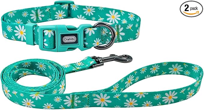Dog Collar Leash Set, Floral Pattern, Polyester Material, Adjustable Collar and 5ft Matching Leash, for Large Dogs.(L, Green Daisy)