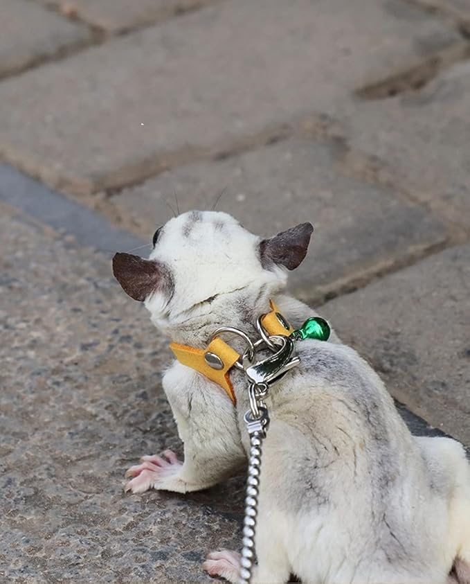 3 Pack Sugar Glider Harness and Leash Set - Adjustable Traction Rope Strap Anti-Biting Chain Rope, Small Animal Training Walking Vest Leash for Sugar Glider Squirrel Hamster Rat Birds Reptile (Yellow)