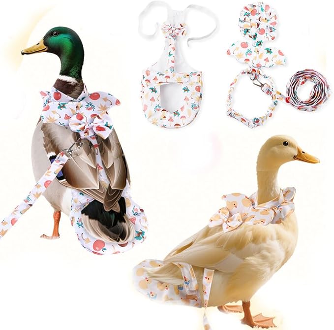Duck & Chicken Harness with Diapers – Washable Adjustable Elastic Nappy for Poultry (Goose, Hen, Duck) with 5-FT Leash, Comfortable & Leak-Proof (M)