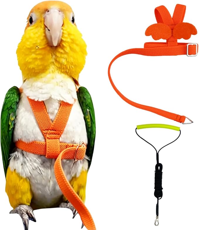 Adjustable Bird Harness with Elastic Leash, Pet Parrot Harness and Leash, Adjustable Training Design Anti-Bite, Bird Nylon Rope with Cute Wing for Conure (Orange,XL)