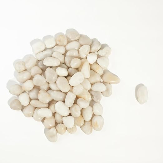 2 LBS River Rocks, StoneCreek, Decorative Garden Stones for Plant Landscaping, Polished Gravel Filler Pebbles for Home Decoration, Vases, Succulents, Flower Beds and Fish Tanks (White, Medium)
