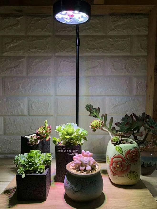 Full Spectrum LED Light with Bamboo Board, Fits Aquarium Nano Tank, Betta Fish Tank, Potted Plants, Succulents, Miniature Landscape – 5W