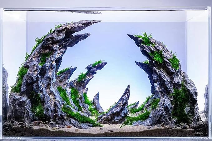 Allcolor Artisan Grade Ultra Clear Rimless Aquarium Tank (15Gal) | Low Iron Glass Fish Tank for Professional Aquascaping and Planted Layouts, 6-60 Gallons (15Gal-Top Glass Canopy)