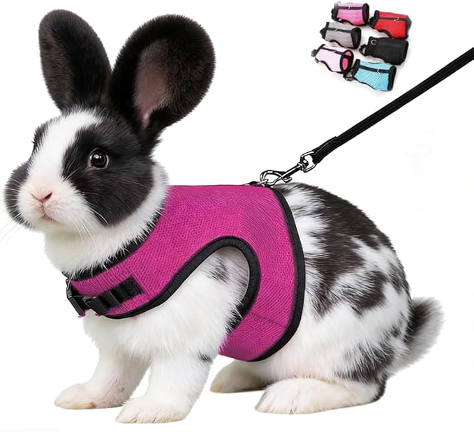 Bunny Leash and Harness Escape Proof,Soft Rabbit Mesh Vest Adjustable Buckle for Ferret Guinea Pig Hamster Walking Small Animal Pets Rat, Hot Pink L