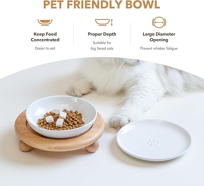Havniva Elevated Cat Bowls, Ceramic Cat Food Bowl Whisker Friendly Cat Dishes, Kitten Food & Water Bowl with Two Heights Stand, Anti-Slip Raised Cat Food Plates