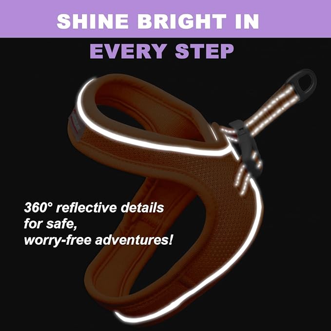 Cat Harness and Leash Set,Escape Proof Kitten Harness,Step in Adjustable Soft Lightweight,Easy Control,Reflective Strips Comfortable for Walking Travel(Orange,XXXS)