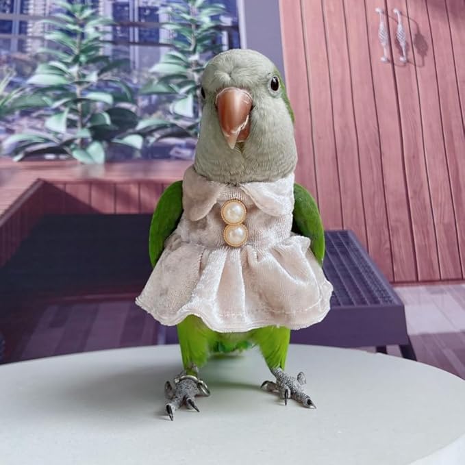 Bird Costume Bird Diaper Flight Suit Parrot Velvet Fleece Skirt Clothes Cosplay Photo Prop for Conure Lovebird Parakeet Cockatiel Macaw Small Animals Apparel (White,2M)