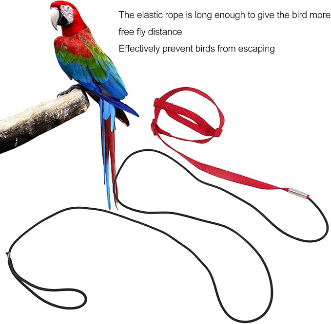 Elastic Parrot Harness Leash Bird Leash Bite Proof Harness Adjustable Parrot Flying Training Rope with Metal Hook Nylon Webbing for Cockatiels Walking (L)