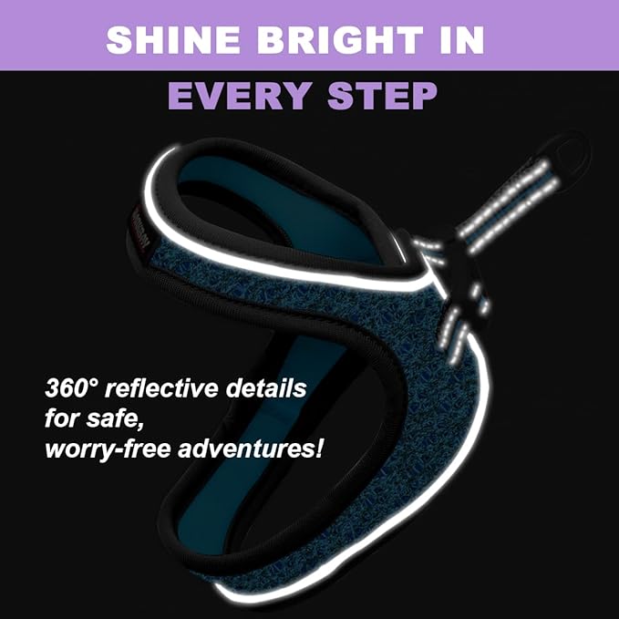 Cat Harness and Leash Set,Escape Proof Kitten Harness,Step in Adjustable Soft Lightweight,Easy Control,Reflective Strips Comfortable for Walking Travel(Blue/Black,XS)