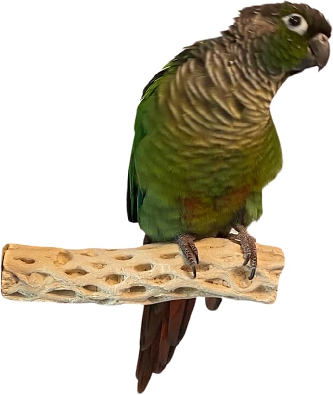 Polly's Pet Products Manu Mineral Bird Perch Size Small 6in