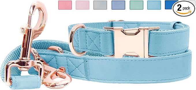 Soft Leather Dog Collar and Leash (6.6') Set - Stylish Rose Gold Heavy Duty Metal Buckle, 4 Adjustable Lengths Leash for Small Medium Large Dogs - Comfortable & Easy to Clean Light Blue S(12.2"-16.9")