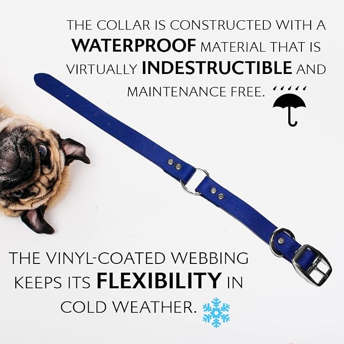Regal Dog Products Medium Blue Waterproof Dog Collar and Leash Set | Heavy Duty Double Buckle & D Ring - 5'ft Leash | Adjustable Biothane Dog Collar | Chew Resistant Waterproof Collar for Dogs