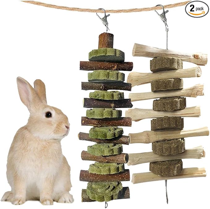 kathson Guinea Pig Treats Bunny Chew Toys for Teeth Grinding, Organic Fruit Wood and Bamboo Sticks Natural Rabbit Enrichment Toys for Small Animals Hamster Chinchilla 2 Pack
