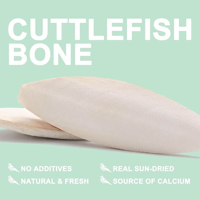 Natural Cuttlebone for Birds Parakeets Canaries Cockatiels Small Conures Mynahs Toucans African Greys All Parrots Snails Totoise (7-7.5 inch,6PCS)