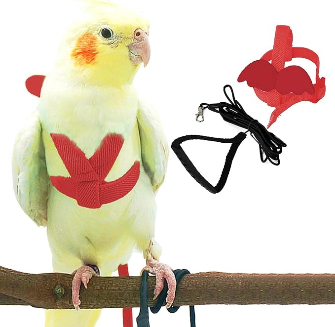 Birds Harness Leash Outdoor Flying Escape-Proof Adjustable Training Design Anti-Bite Bird Rope with Cute Wing for Parrots Scarlet Keck Mini Macaw Love Birds (Red)