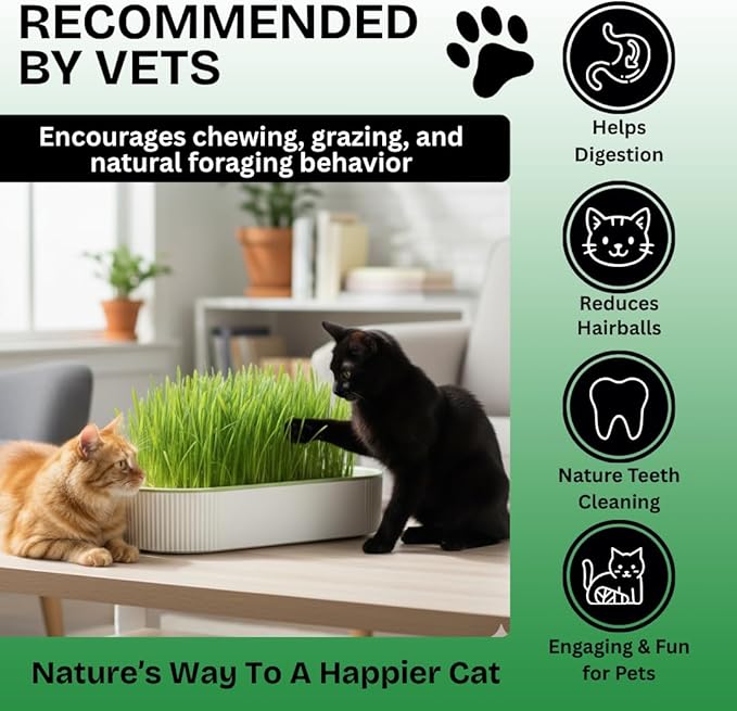 Hydroponic Cat Grass Grow Kit for Indoor Cats - Cat Lover Gift - New Pet Present - Grow Container and 2 Oz Cat Grass Non-GMO Seeds - No Soil or Tools Needed - Modern Look - Loved by Pets