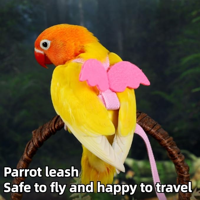 Pet Parrot Bird Harness and Leash, Adjustable Training Design Anti-Bite, Bird Nylon Rope with Cute Wing and Colorful Leash for Parrots Lovebird Cockatiel Conure Budgie (Purple with 78.7inch Leash,L)