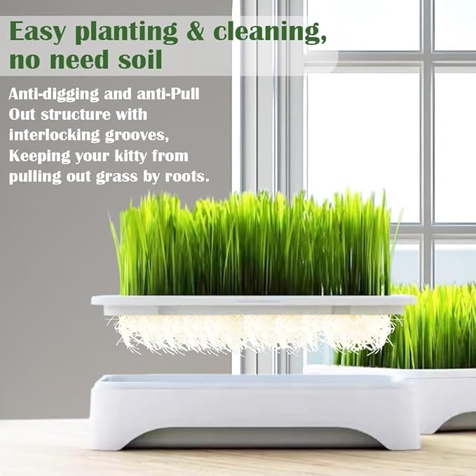 2-Pack Cat Grass Planter (No Seeds Included), Tri-Section Design, Anti-Pull Out Cat Grass Seed Starter Tray, Sprouts Growing Kit, Microgreens Growing Trays