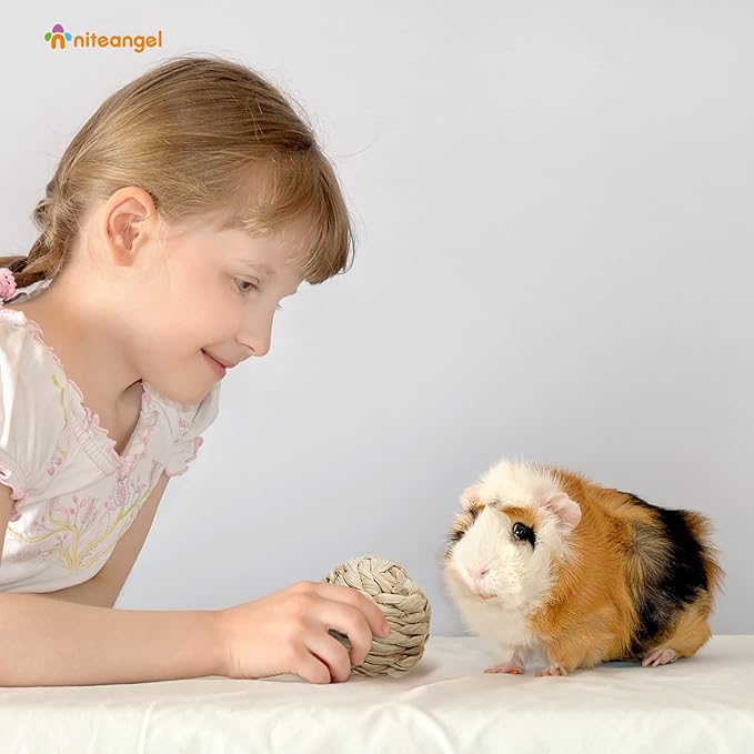 Niteangel Natural Chew Activity Toys Fun Safe Hay Grass Pet Balls for Chinchilla Guinea Pig Rats Rabbits Hamster Gerbil Degu Bunny and Other Small Animals