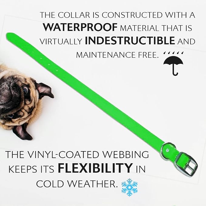 Regal Dog Products Large Light Green Waterproof Dog Collar and Leash Set | Heavy Duty Double Buckle & D Ring - 5'ft Leash | Adjustable Biothane Dog Collar | Chew Resistant Waterproof Collar for Dogs
