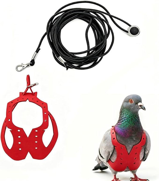 Adjustable Bird Harness & Leash Set for Small Birds,FitsBudgie,Parakeets, Conures, Cockatiels,Green Cheek,Quaker Parrots(Red, 2XL) Z6350-12