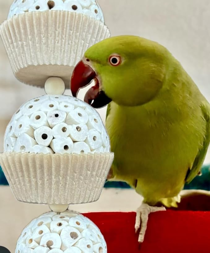 Shred and Destroy Bird Toy for Medium Birds - Conures, Cockatiels - Natural Sola Ball Hanging Chew Toy - 2 Pack - Boredom Buster Cage Toy