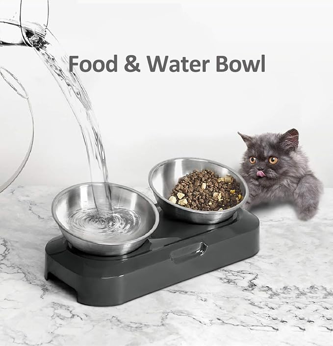 AYADA Raised Cat Food Bowl, Stainless Steel Cat Dish for Dry Wet Food Water, Anti Vomiting Elevated with Stand Ergonomic Lifted Slanted Tilted 15 Angle Metal Single Kitty Kitten Pet Bowl (Double)