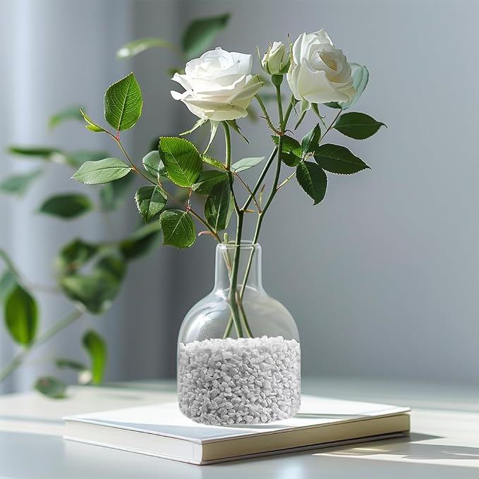 1.1 LB White Succulent Cactus Soil Cover Gravels, Decorative Small Rock | Indoor Plants,Natural Stones for Aquarium Fish Tank,Grow Media Cultivation Hydroponic Pebbles,2-5mm