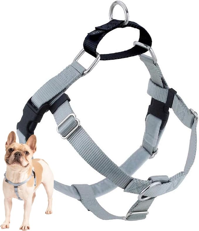 2 Hounds Design Freedom No Pull Dog Harness, Adjustable Harness, Easy Walking & Comfortable Control, Fits Small, Medium & Large Dogs, Solid Colors, Made in USA, 1" MD, Silver