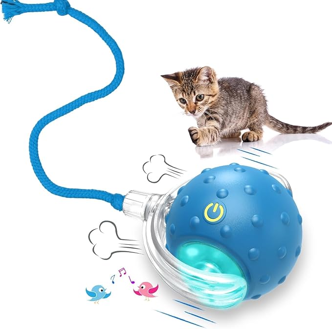 Interactive Cat Toys Ball for Indoor Cats Fast Rolling on Carpet, Chirping & Motion Activate Cat Toys (Blue)