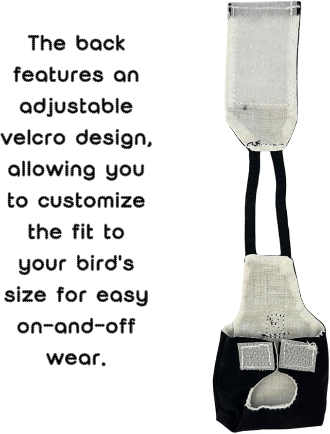 Bird Diaper Flight Suit, Cute Cosplay Parrot Clothes, Easy-to-Wear Washable Nappy, Durable Metal Ring Harness for Cockatiel, Conure, African Grey, Parakeet Outdoor Flying (with Leash,2M)