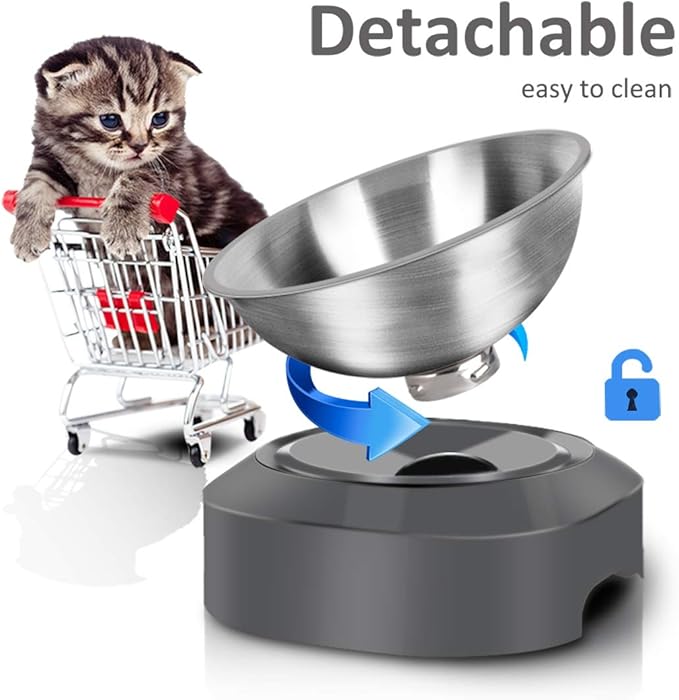 AYADA Raised Cat Food Bowl, Stainless Steel Cat Dish for Dry Wet Food Water, Anti Vomiting Elevated with Stand Ergonomic Lifted Slanted Tilted 15 Angle Metal Single Kitty Kitten Pet Bowl (Single)