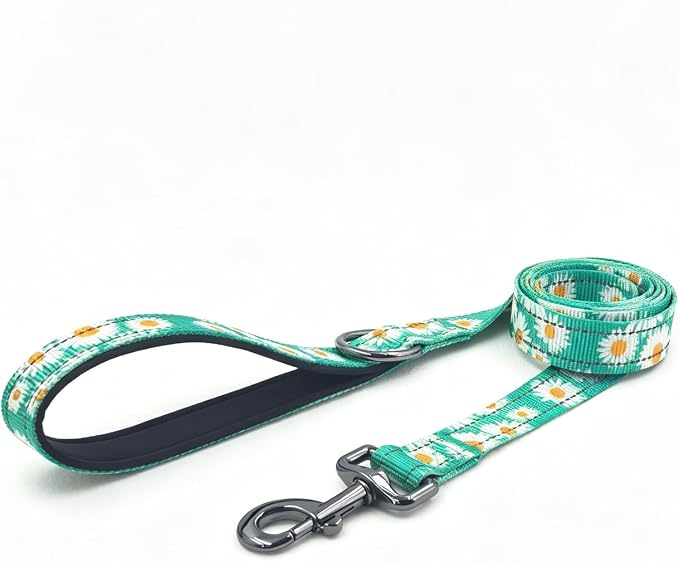 Dog Collar Leash Set, Floral Pattern, with Safety Reflective Strips, 5 ft Matching Leash, Neoprene Padded Handle, Adjustable 4 Sizes for Small Medium Large Dogs.(XS, Green Daisy)