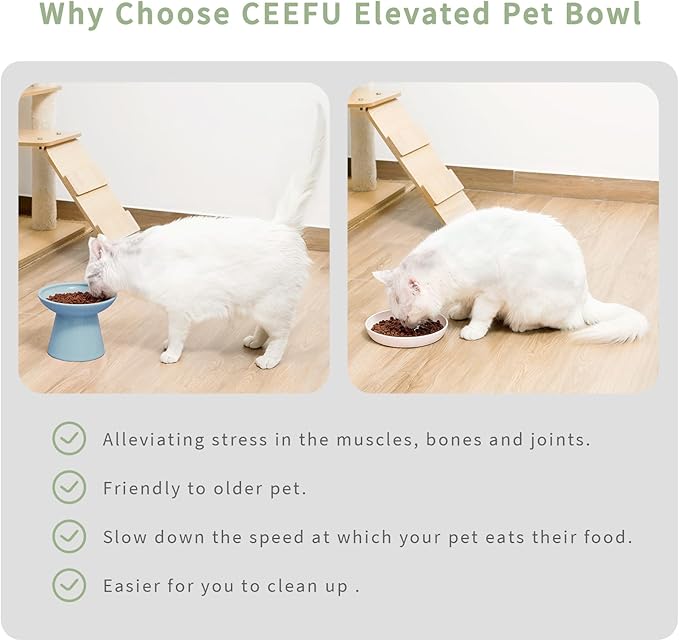 CEEFU Extra Wide Elevated Ceramic Cat Water Bowl - 6.2" Deeper Dish for Whisker Fatigue Relief, 5" Height for Easy Feeding, Lead & Cadmium Free, Durable Raised Cat Bowls, Blue