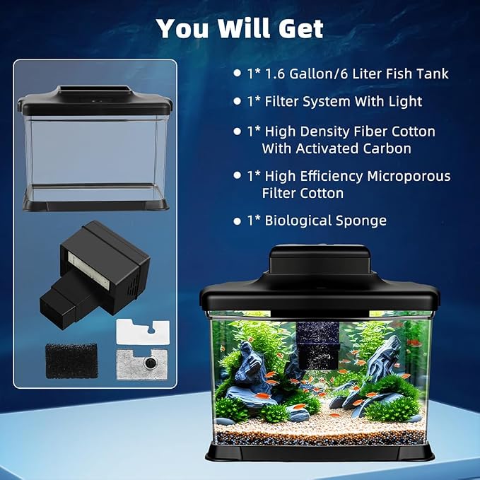 DaToo Small Fish Tank Ultra-Clear 1.6 Gallon Aquarium Starter Kits with LED Lighting and Filter System Beginner-Friendly Mini Betta Aquarium for Small Fish Shrimp Desktop Room Decoration