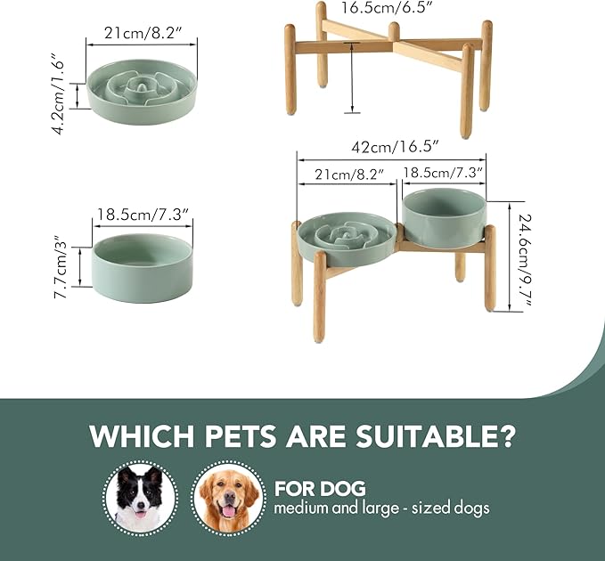 Havniva Ceramic Raised Slow Feeder Dog Bowl Set, Elevated 7.3inch Bowl and 8.2inch Puzzle Slow Dish with Wooden Stand for Medium and Large Dog, Anti-Gulping (2X Light Green+ Stand)