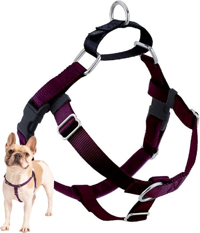 2 Hounds Design Freedom No Pull Dog Harness, Adjustable Harness, Easy Walking & Comfortable Control, Fits Small, Medium & Large Dogs, Solid Colors, Made in USA, 1" XL, Burgundy