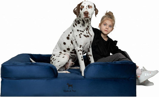 NOAH & PAW XL Dog Bed, 45x35x11 Inch, Orthopedic Large Dog Beds, Eggshell Memory Foam Infused with Cooling Gel, Inner Cover, Waterproof, Machine Washable (Velvet Sofa Collection)