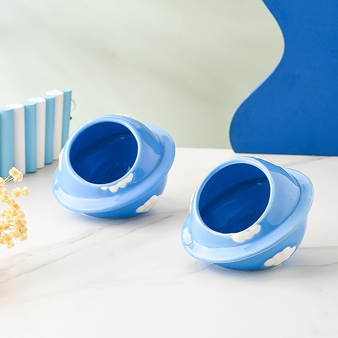 GKYZBB Blue Planet Hideout Ceramic,Hamster House and Habitats Cool Bed Ideal for All Season Dwarf Gerbil Mice Golden Bear