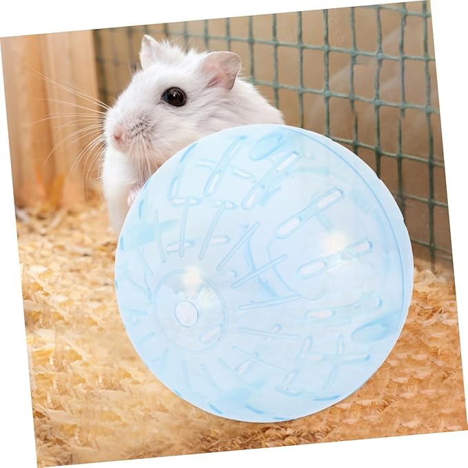 Hamster Balls Large Exercise Toy 10cm Pet Running Balls Track for Chinchilla Guinea Pig Gerbil