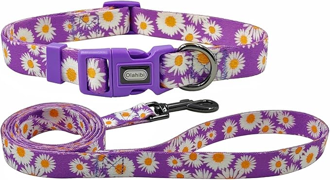 Dog Collar and Leash Set, Cute Daisy Pattern, Polyester Material, 5ft Leash, for Puppy Dogs.(Extra Small,Purple Daisy)