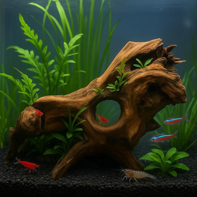emours Porous Natural Driftwood for Aquarium, Aquascaping Driftwood with Holes, Hand-Selected Tunnels & Hideouts, Aquascaping Hardscape, Terrarium Reptile Décor, No Paint or Resin (8-12" (20-30 cm))