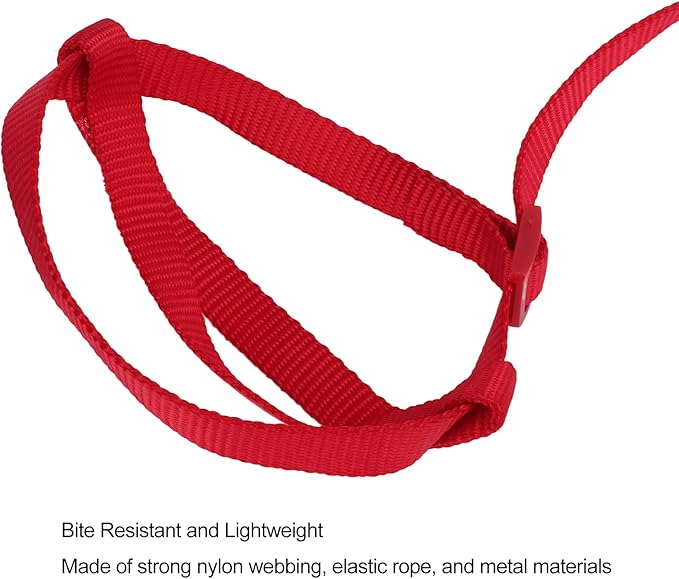 Elastic Parrot Harness Leash Bird Leash Bite Proof Harness Adjustable Parrot Flying Training Rope with Metal Hook Nylon Webbing for Cockatiels Walking (L)