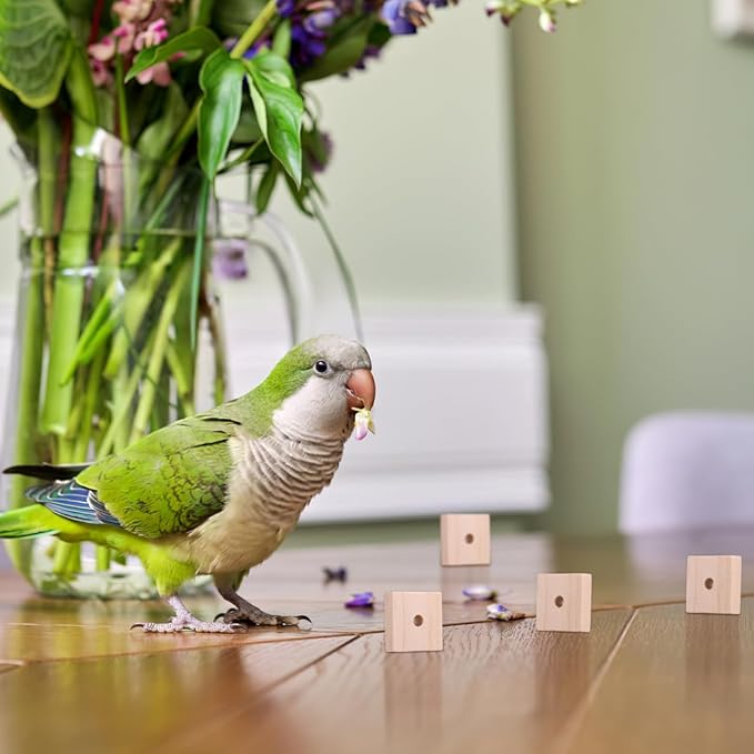 NOLITOY 100pcs Bird Toy Parts, 1.18" Natural Wood Cubes - DIY Parrot Toy Making Kit & Chewing Blocks Bulk Refill - Soft Wood Squares for Cockatoos African Greys Eclectus Medium Birds