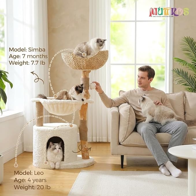 MUTTROS Modern Cat Tree for Large Cats, Wood Cat Tower for Indoor Cats, Real Branch Luxury Cat Furniture with Super Large Cozy Condo and Hammock & Scratching Post, Top Basket, White