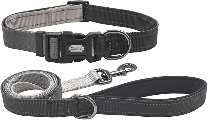Dog Collar Leash Set, Gradient Color, with Safety Reflective Strips, 5 ft Matching Leash, Neoprene Padded Handle, Adjustable 4 Sizes for Small Medium Large Dogs.(M, Black Grey)