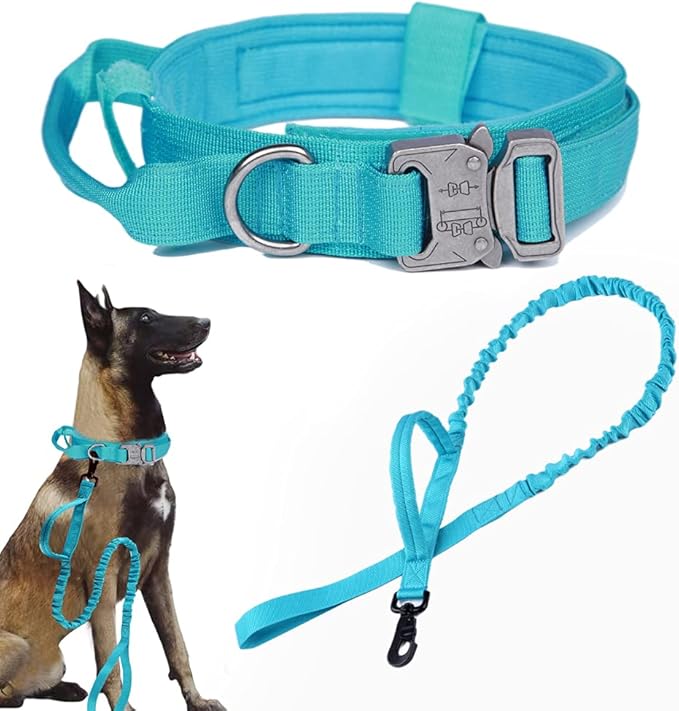 Xqpetlihai Tactical Dog Collar and Leash Set Adjustable Military Nylon Dog Collar with Control Handle and Heavy Duty Metal Buckle for Large Dogs（Blue L