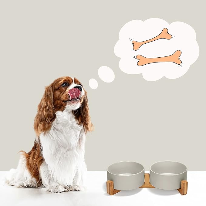 SPUNKYJUNKY Ceramic Dog and Cat Bowl with Wood Stand Non-Slip Matte Glaze Weighted Food Water Set for Cat Medium Dog 28.7 OZ
